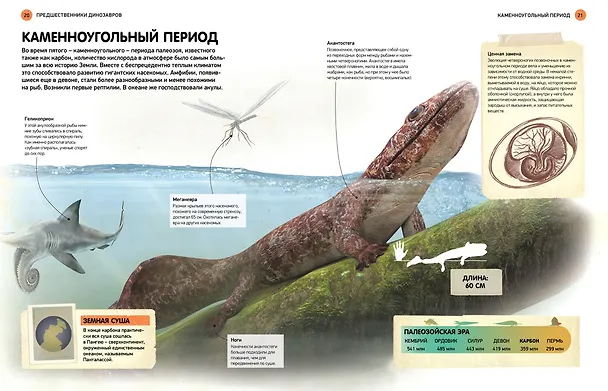 Книга Всё о динозаврах (Букс Паррагон) — 6
