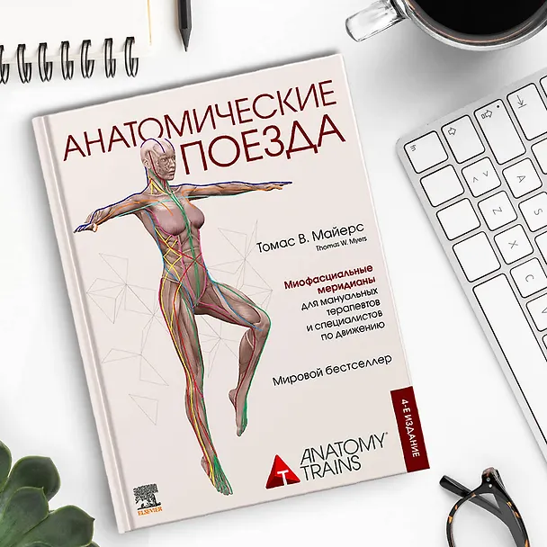 Книга Анатомические поезда (Томас Майерс) — 19