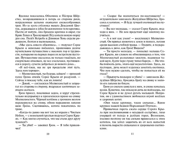 Книга Юность Грома (Эрин Хантер) — 5