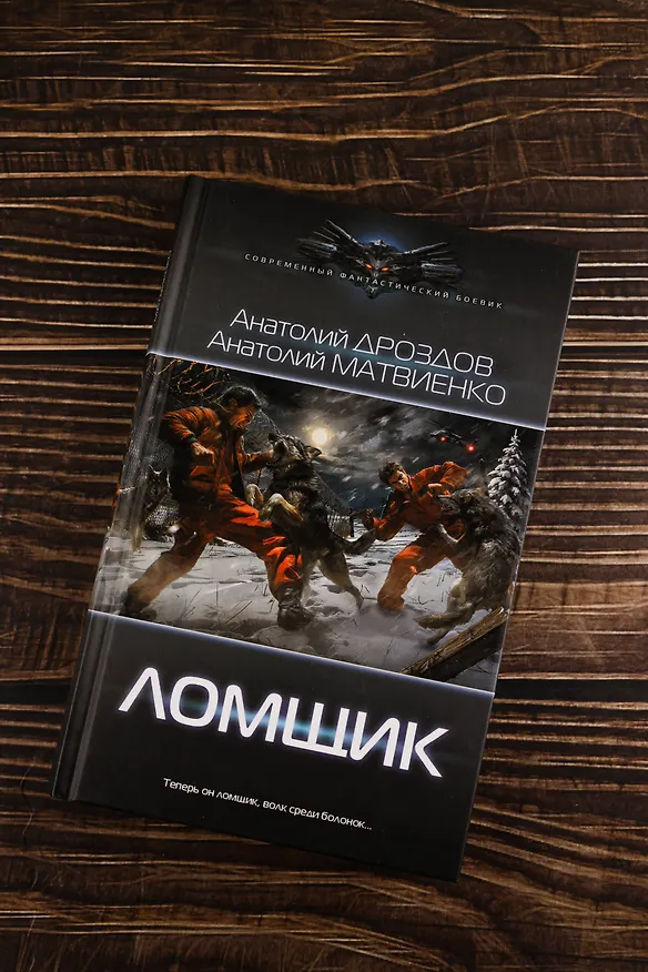 Книга Ломщик (Анатолий Дроздов, Анатолий Матвиенко) — 7
