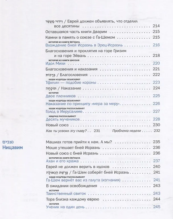 Книга Мидраш рассказывает детям. Книга Дварим (Моше Вейсман) — 8