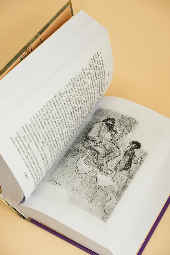 Книга Нана. Земля (Эмиль Золя) — 16
