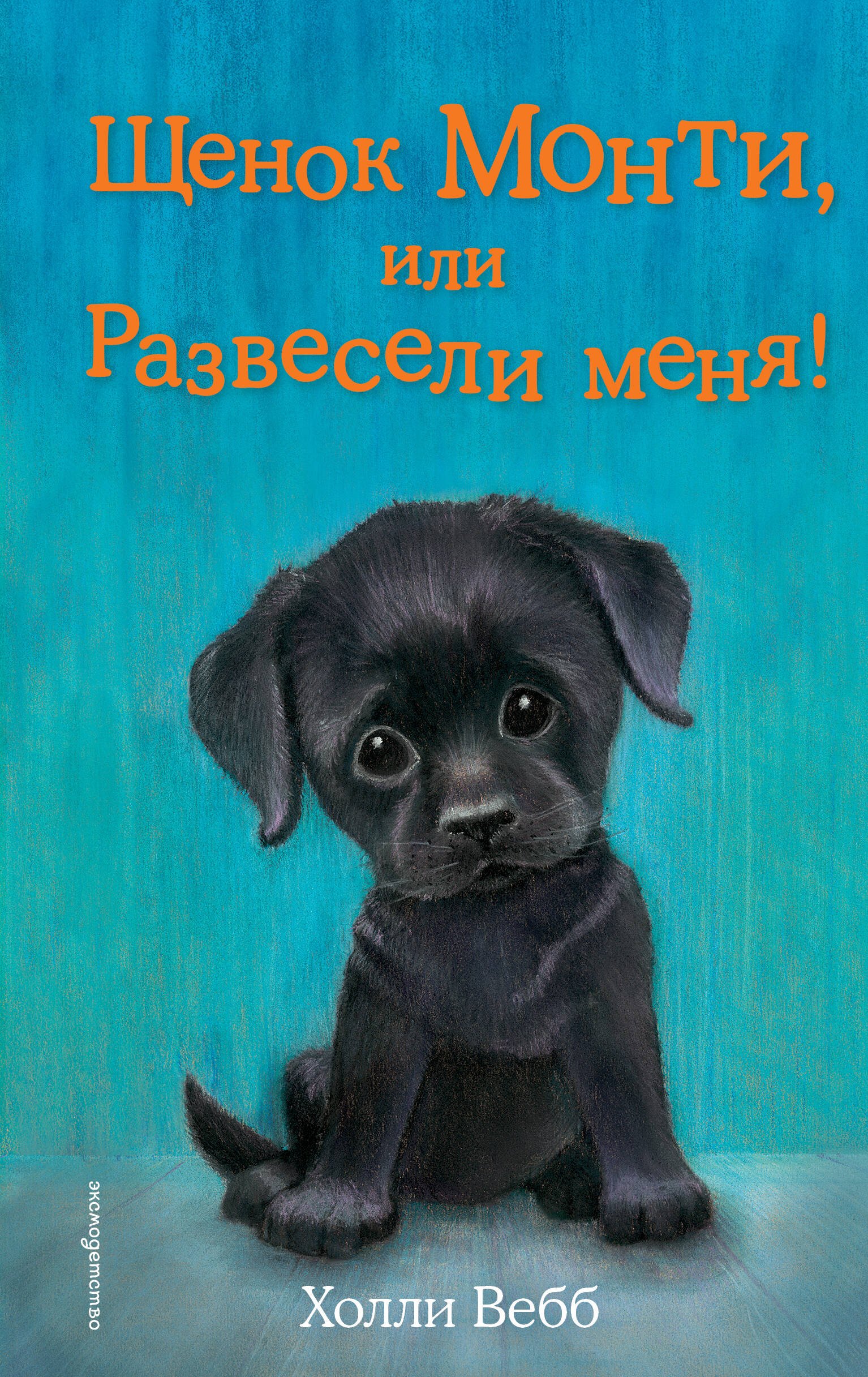 Щенок Монти, или Развесели меня! (выпуск 36) Холли Вебб