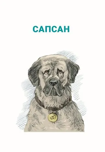 Книга Белый пудель. Рассказы (Александр Куприн) — 11