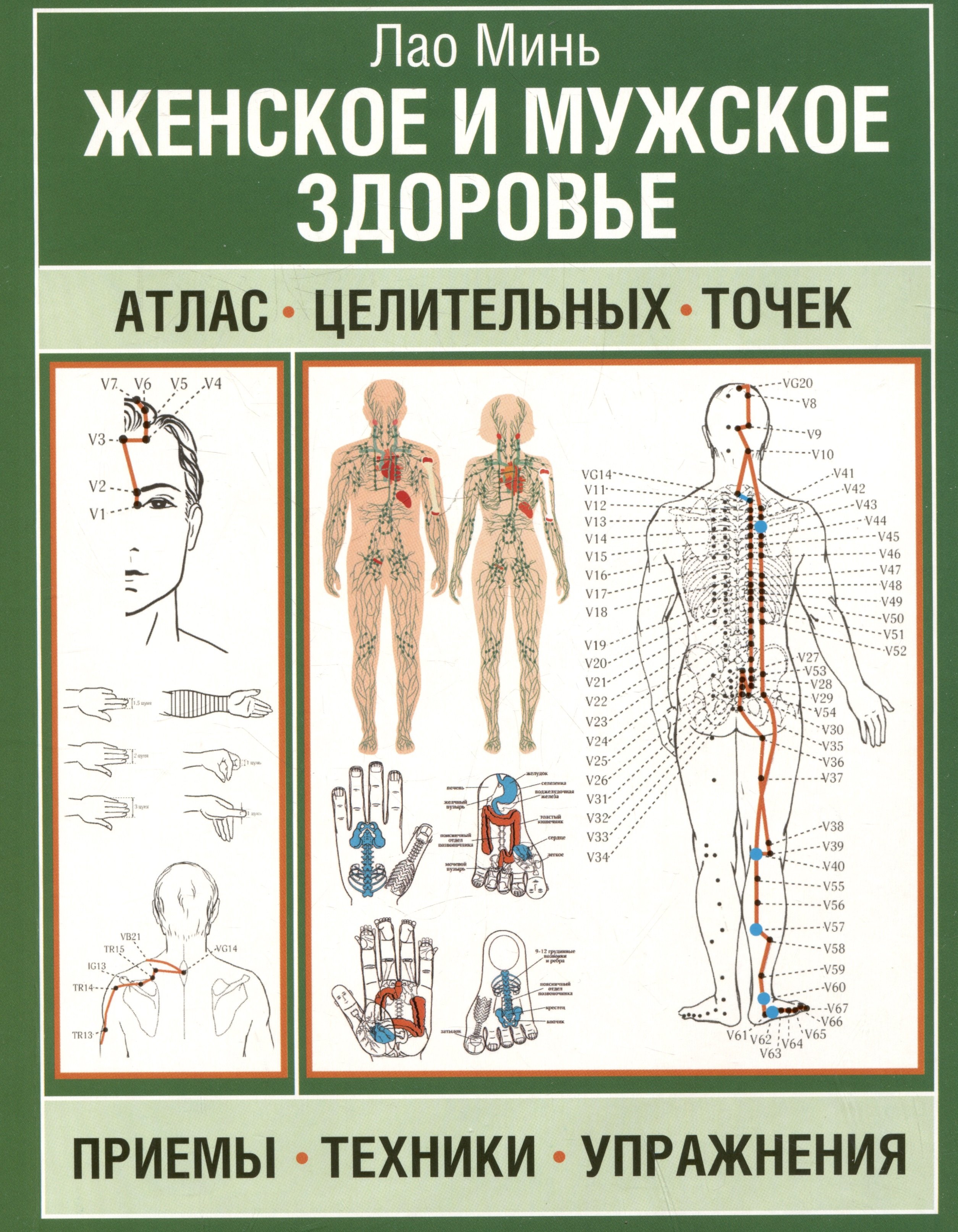 Женское и мужское здоровье. Атлас целительных точек, приемы, техники, упражнения