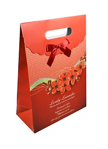 Пакет подарочный бумажный А5 19*8,5*27 "Красная клетка цветы" на липучке, мат. ламинат, выруб. ручка, M