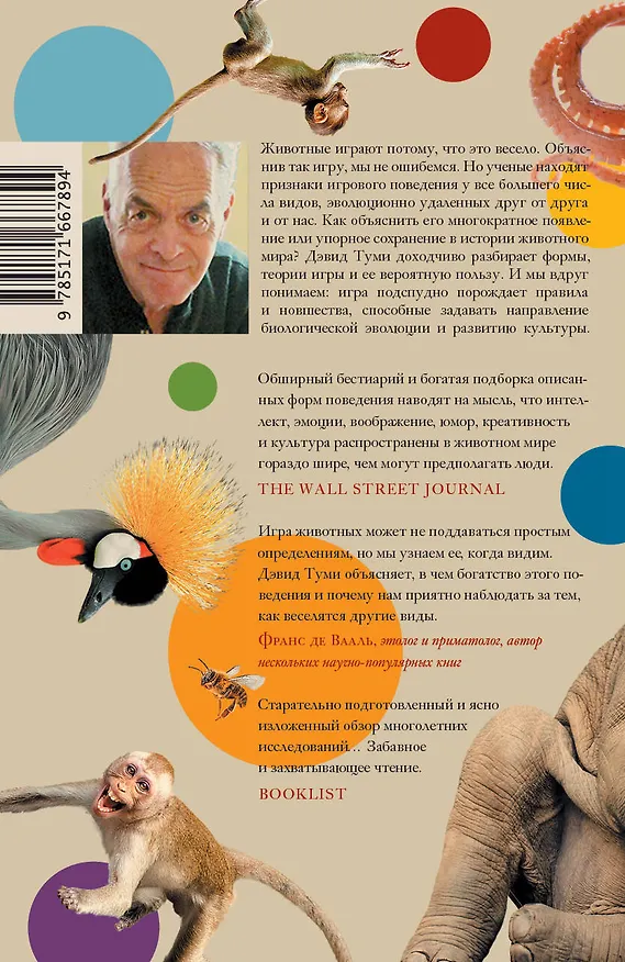 Книга Царство игры (Дэвид Туми) — 2