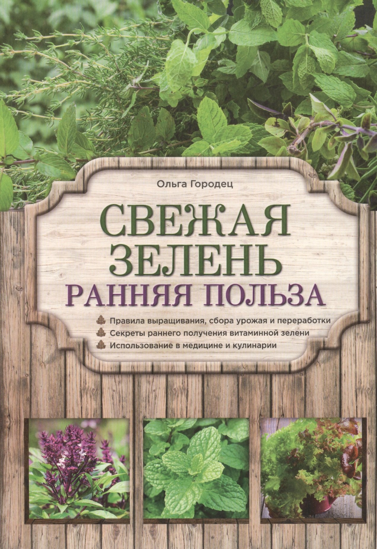 

Свежая зелень: ранняя польза