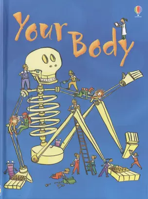 Your Body — 2449931 — 1