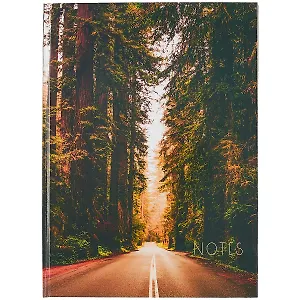 Книга для записей А4 100л кл. "Дорога в лесу" 7БЦ, глянц.ламинация