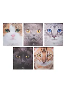 Тетрадь в клетку Hatber, "Кошачьи мордочки", 48 листов, в ассортименте