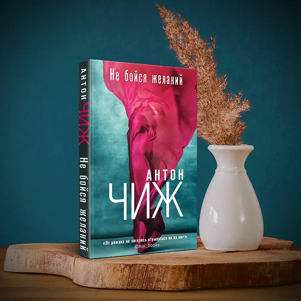 Книга Не бойся желаний (Антон Чиж) — 11