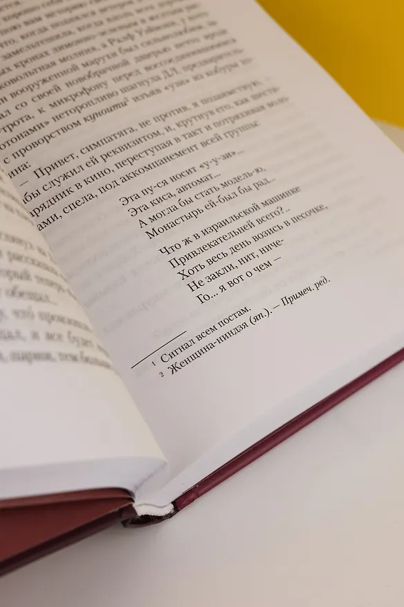 Книга Винляндия (Томас Пинчон) — 14