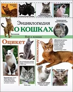 Энциклопедия о кошках Все о кошках — 2442549 — 1