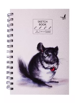 Скетчбук А5 60л "SKETCHBOOK. Шиншилла", 120г/м2, софт. тач, евроспираль — 257693 — 1