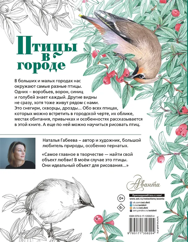 Книга Птицы в городе (Наталья Габеева) — 2