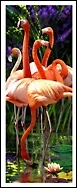Закладка 3D Flamingos (Листопадова) 2263171 — 1