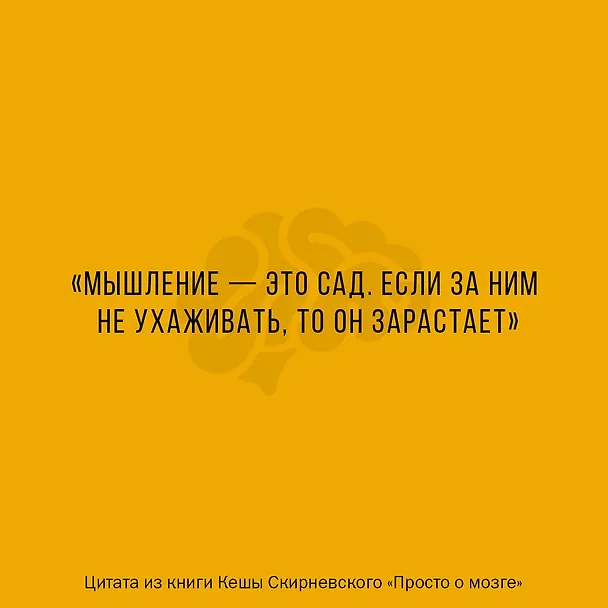 Книга Просто о мозге. Как знания о мозге помогают получить больше (Кеша Скирневский) — 5