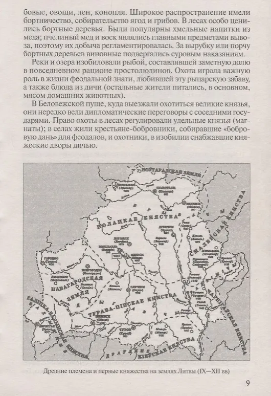 Книга Войны Московской Руси с Великим княжеством Литовским и Речью Посполитой в 14-17 в. (Тарас) (Анатолий Тарас) — 8