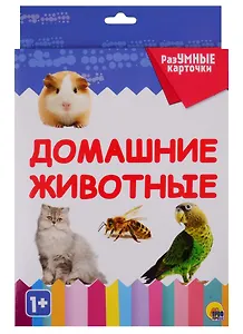 Домашние животные. 20 карточек