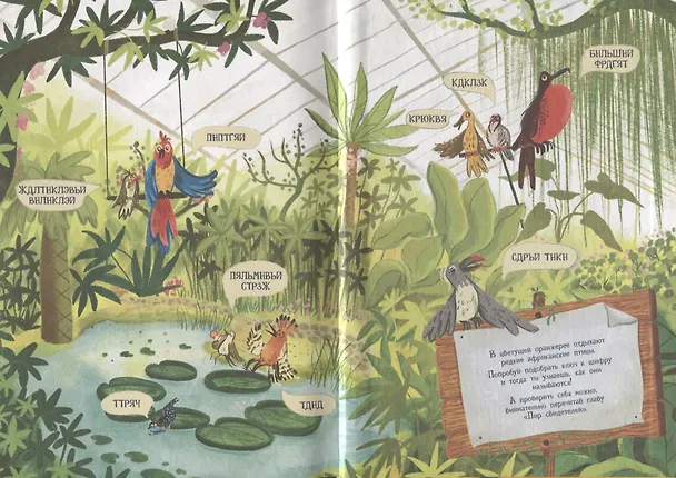 Книга Узники баобаба (Алла Мироненко) — 3