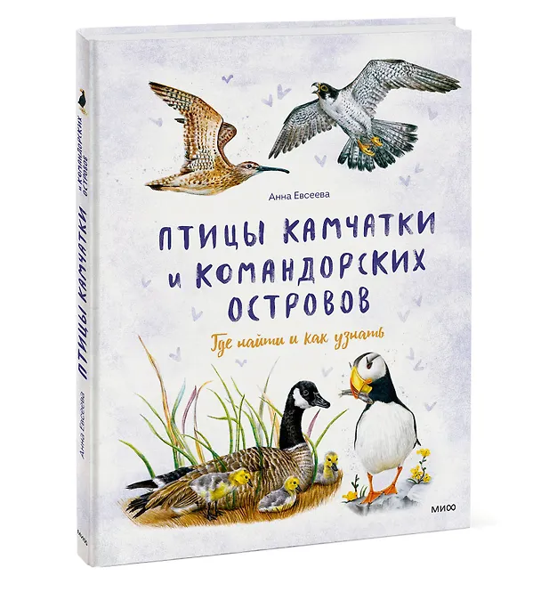Книга Птицы Камчатки и Командорских островов. Где найти и как узнать (Анна Евсеева) — 4