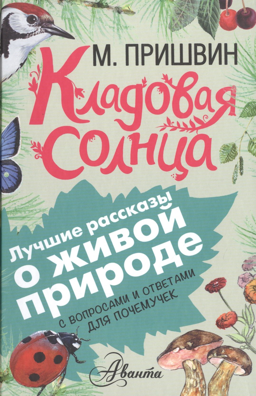 

Кладовая солнца