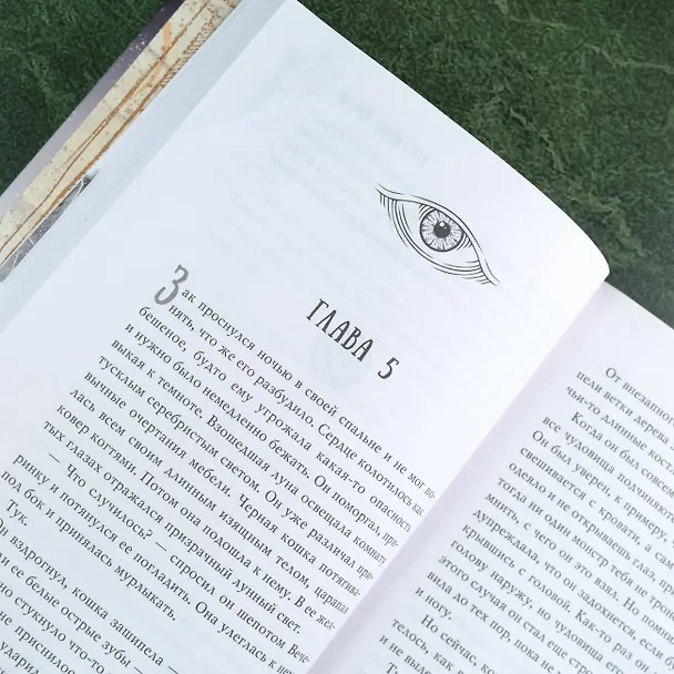 Книга Костяная кукла (Холли Блэк) — 13