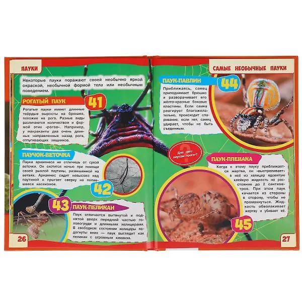 Книга Пауки. 100 фактов (Игорь Павлинов) — 4