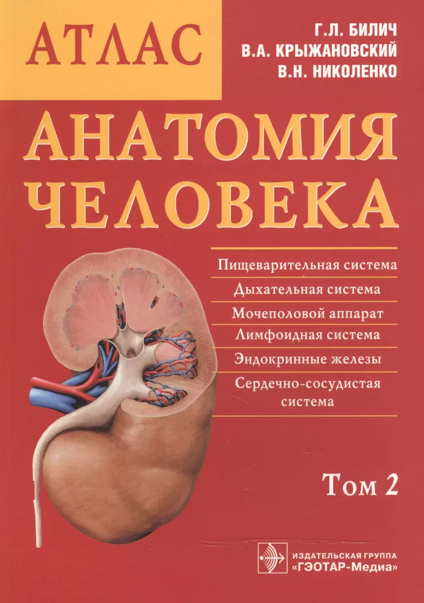 Анатомия человека. Атлас: учебное пособие. В 3 томах. Том 2. (Габриэль  Билич) - купить книгу с доставкой в интернет-магазине «Читай-город». ISBN:  978-5-9704-2540-4