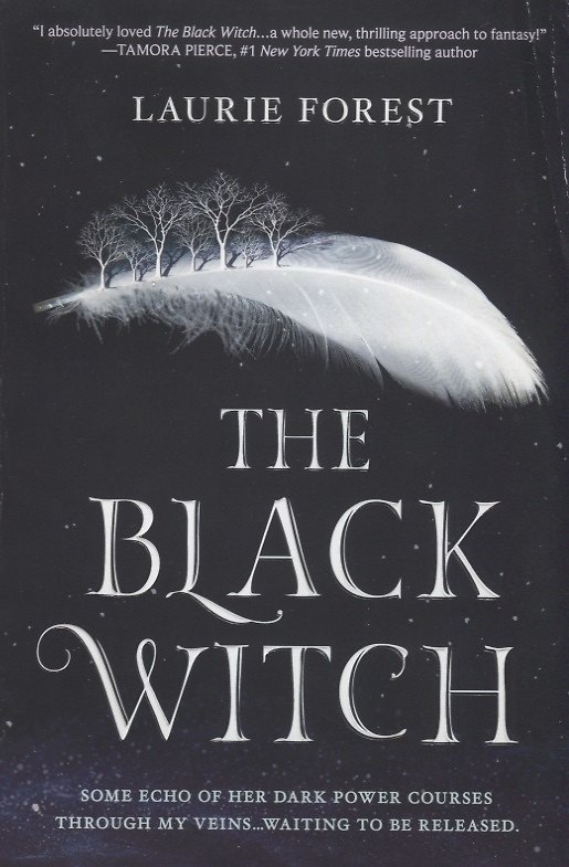 ΠΠ½ΠΈΠ³Π° The Black Witch (Laurie Forest) β 1