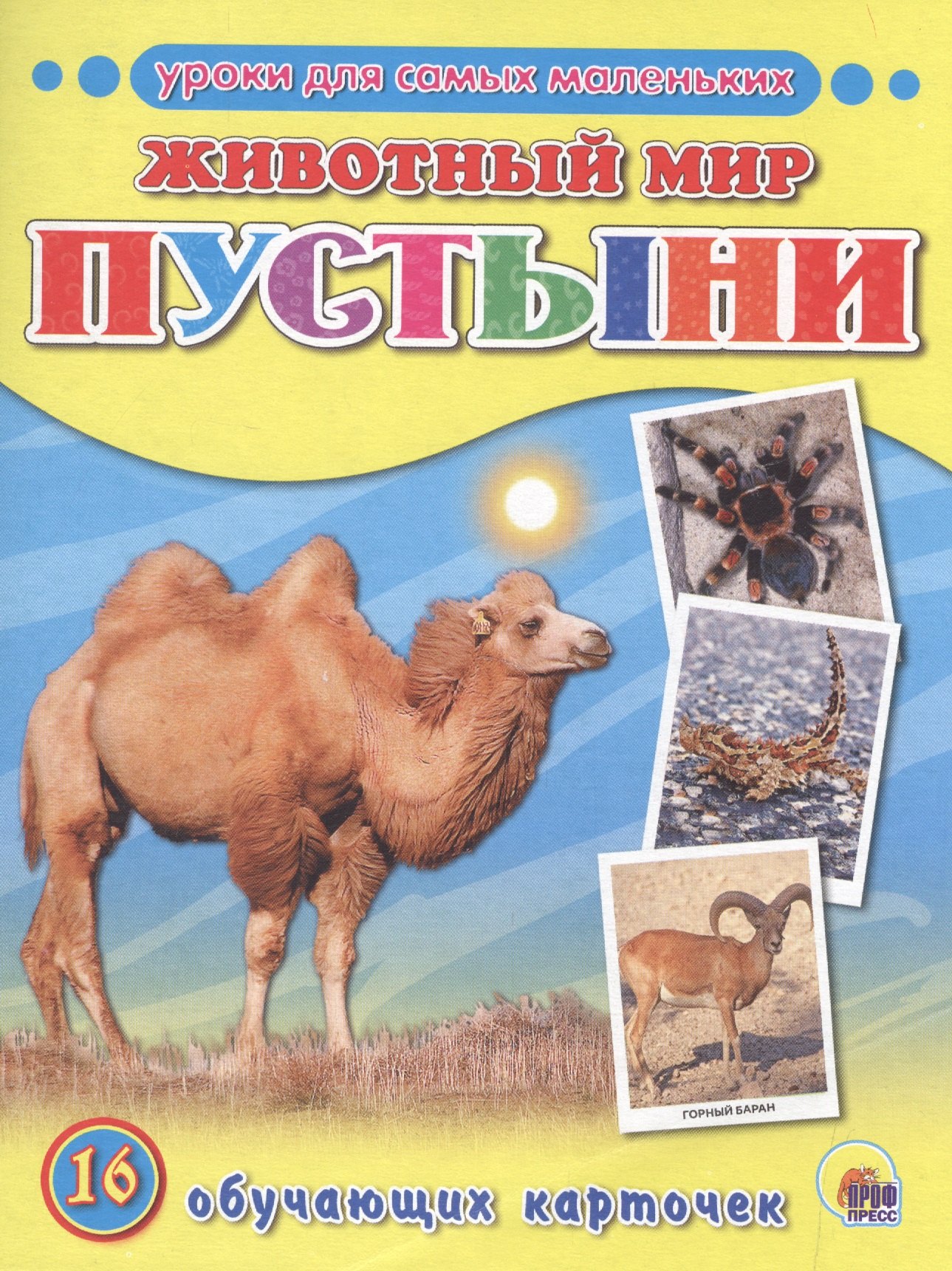 

Животный мир. Пустыни