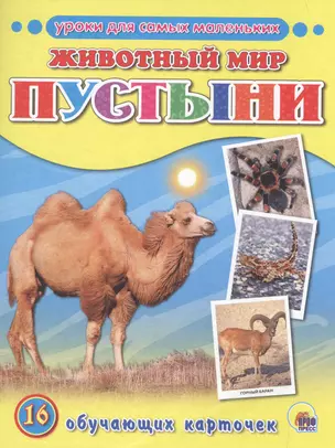 Животный мир. Пустыни — 2497496 — 1