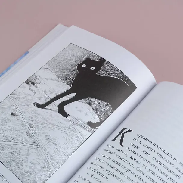 Книга Коралина: повесть (Нил Гейман) — 11