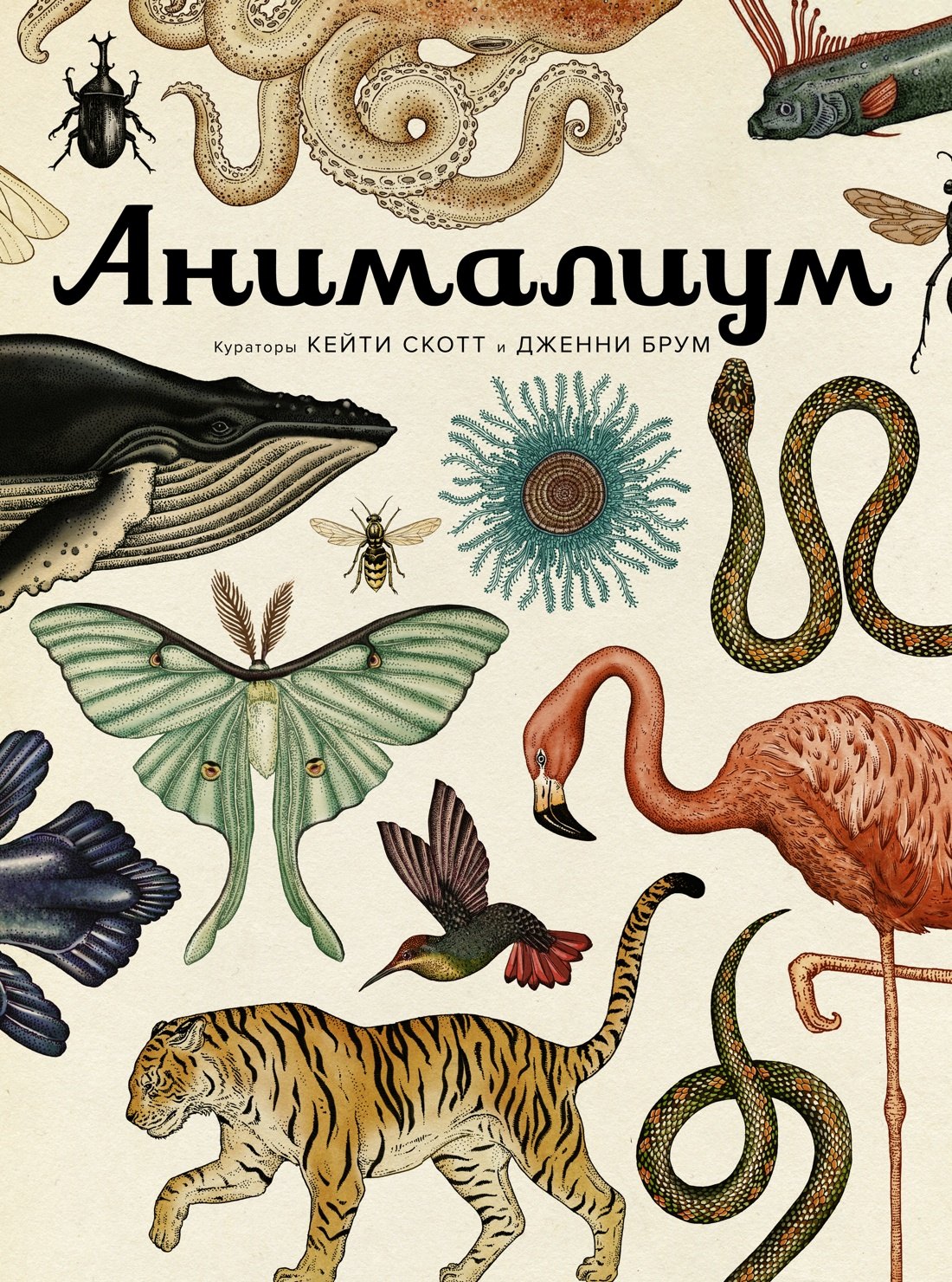 Дженни Брум Анималиум