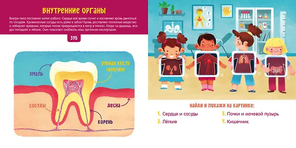 Книга Мое тело. Визуальный словарь (Анна Парамонова) — 3