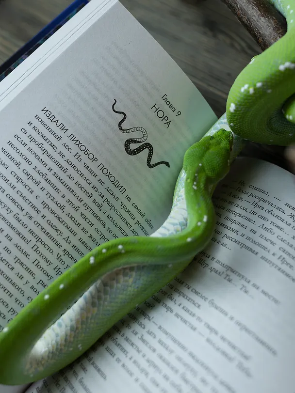 Книга Змеелов. Гадючий остров (Даха Тараторина) — 18