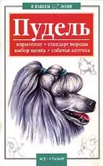 Пудель.Кормление,стандарт породы,выбор щенка,собачья аптечка — 2040740 — 1