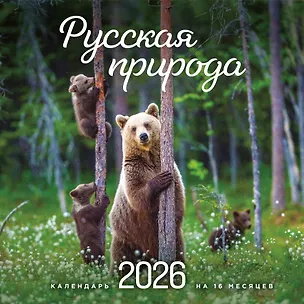 Русская природа. Календарь настенный на 16 месяцев на 2026 год (300х300 мм) 3115532