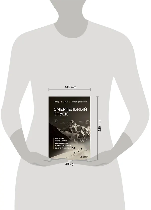 Книга Смертельный спуск. Трагедия на одной из самых сложных вершин мира — К2 (Аманда Падоан, Питер Цукерман) — 11