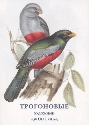 Книга Трогоновые. Набор открыток ()