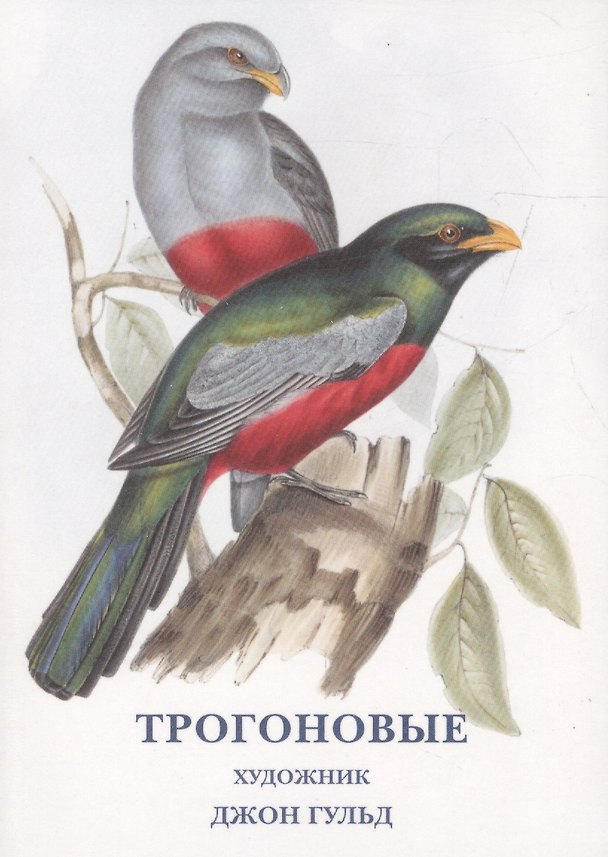 Книга Трогоновые. Набор открыток () — 1