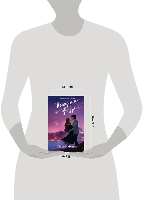 Книга Полярная звезда (#1) (Мехтап Фырат) — 6