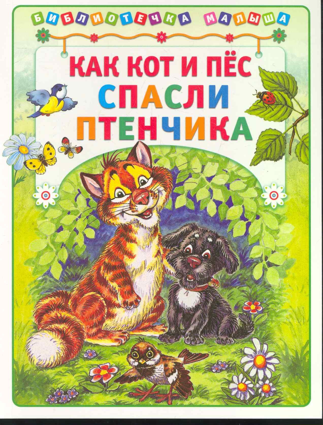 

Как кот и пёс спасли птенчика