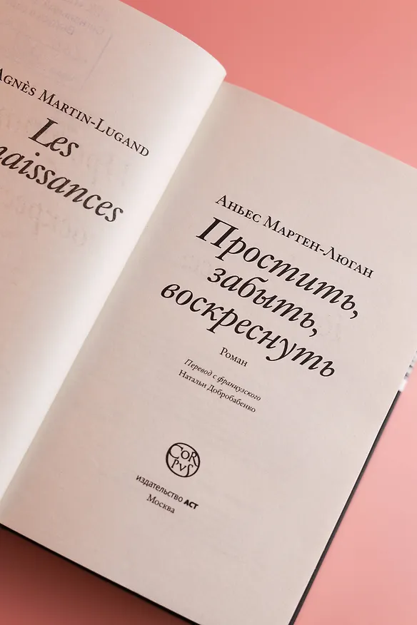 Книга Простить, забыть, воскреснуть (Аньес Мартен-Люган) — 11