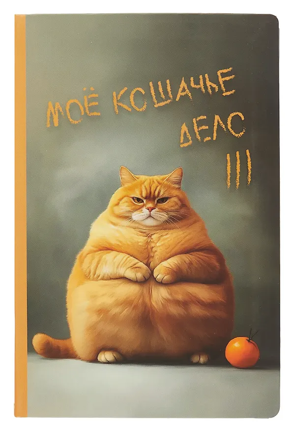 Блокнот "Рыжий кот" 3057917 — 1
