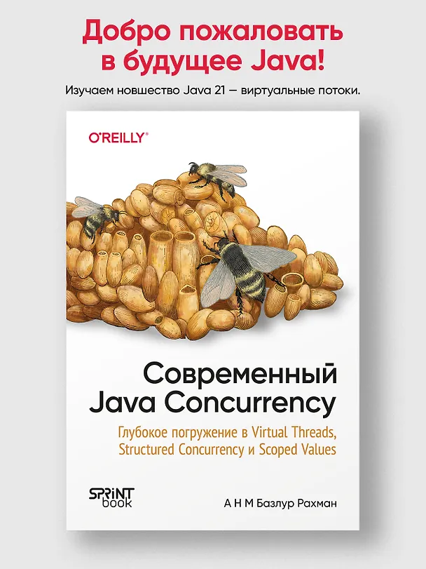Книга Современный Java Concurrency. Глубокое погружение в Virtual Threads, Structured Concurrency и Scoped Values (А Н М Базлур Рахман) — 3