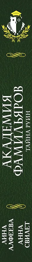 Книга Академия фамильяров. Тайна руин (Лина Алфеева) — 3