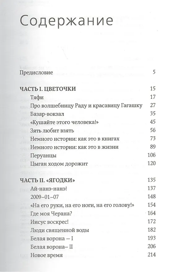 Книга Бахтале-зурале! Цыгане, которых мы не знаем (Дмитрий Фалеев) — 2