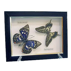 Панно Бабочки (16х20) (101004)